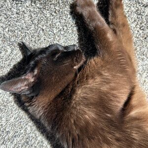 Meet your Posher, April